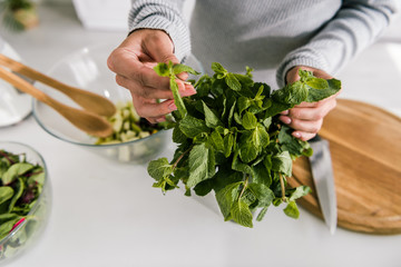 cropped view of girl touching fresh peppermint leaves