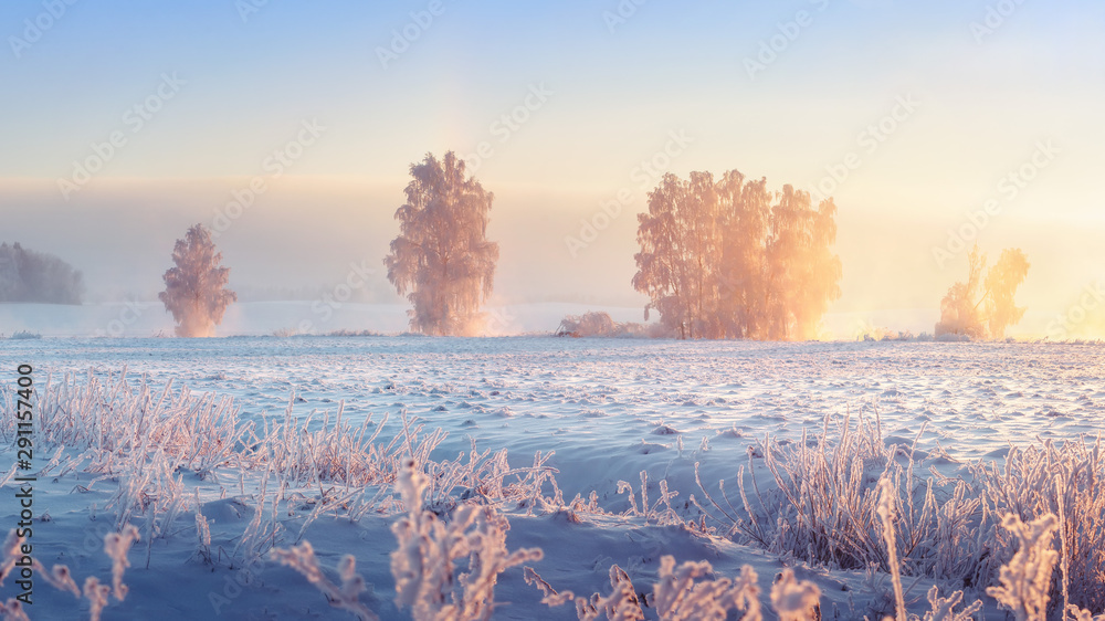 Winter landscape. Frosty winter nature in morning sunrise. Beautiful winter scene. Winter landscape - obrazy, fototapety, plakaty 