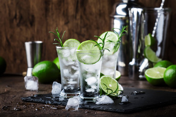 Wall Mural - Classic gin tonic cocktail with lime, ice and rosemary. Vintage bar, bar tools. With copy space