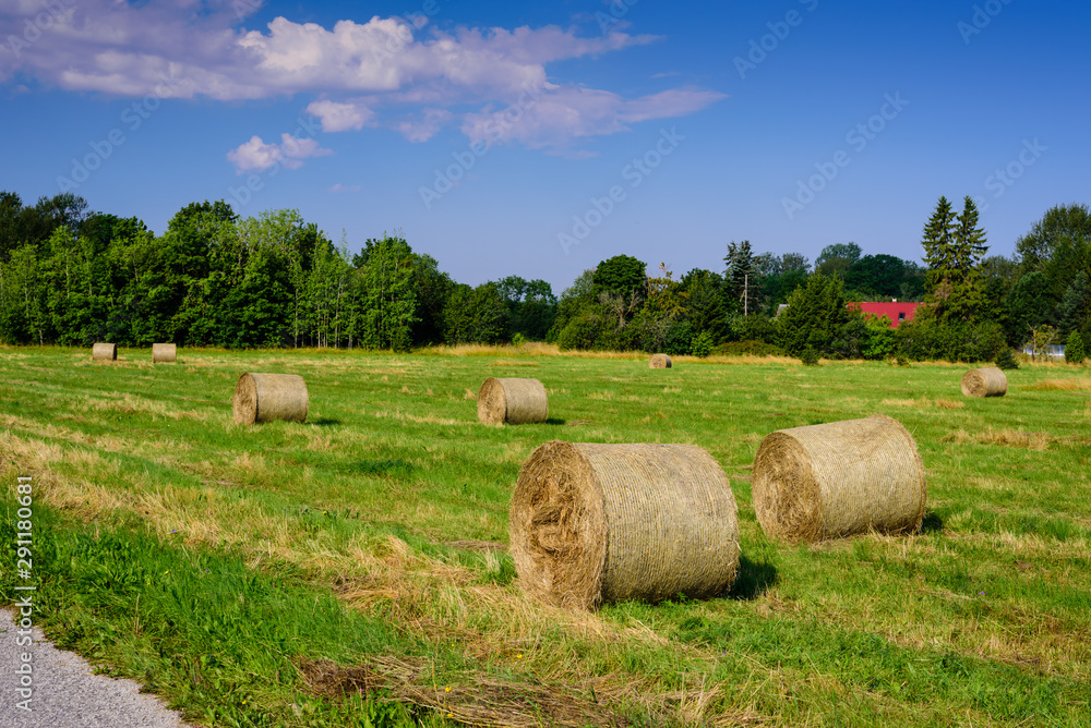 Beautiful meadow with green grass and hay roll on blue sky background ...