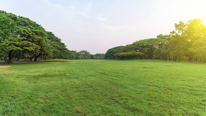 Panoramic green grass field in park at city center.