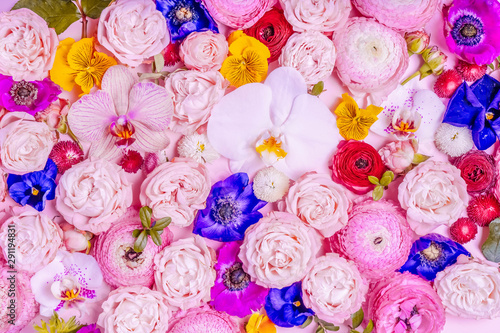 Flowers flat lay composition