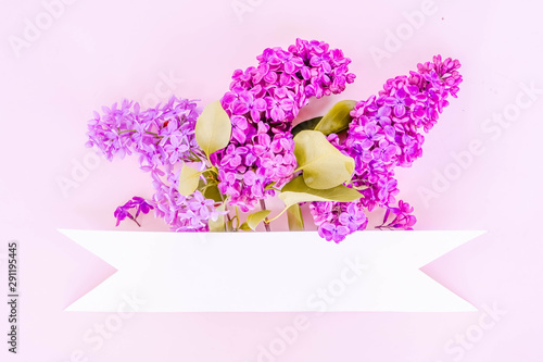 Fresh lilac flowers