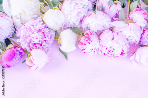 Fresh peony flowers