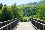 Fototapeta Tulipany - bridge in the forest