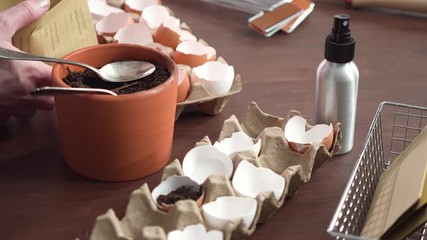 Poster - Mother and daughter starting seeds in eggshells for Spring planting.