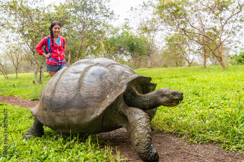 Fotomural Galapagos Giant Tortoise and woman tourist on Santa Cruz Island in Galapagos Islands