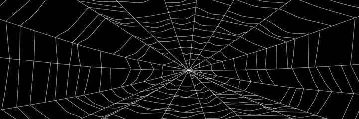 Wall Mural - large white spider web on black - 3d render