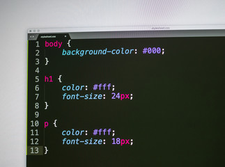 Wall Mural - writing css code - simple html, body and paragraph styling element