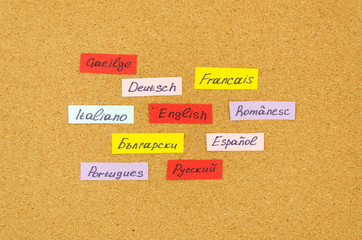 learning new language concept. flash cards with names of languages pinned on a cork board