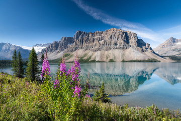 Wall Mural - Bow lake, Banff National Park, Alberta, Canada