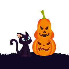 Wall Mural - halloween pumpkins with cat isolated icon