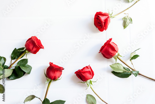 Mazzo Di Rose Rosse Isolato Su Uno Sfondo Bianco Stock Photo Adobe Stock