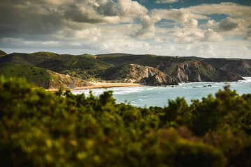 Wall Mural - beautiful desert beach from portugal