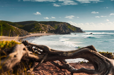 Wall Mural - beautiful beach