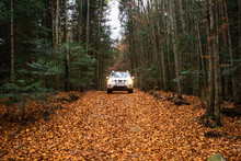 White Suv Car At Trail Road In Autumn Forest