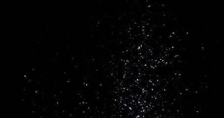 Wall Mural - falling real snowflakes, heavy snow, shot on a black background, frosted, wide-angle, insulated, ide