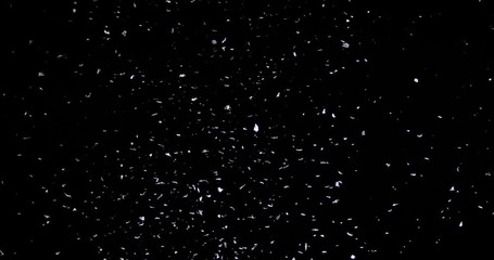 Wall Mural - falling real snowflakes, heavy snow, shot on a black background, frosted, wide-angle, insulated, ide
