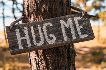 A wooden motivating tablet on an old pine tree in an autumn park says “Hug me”.
