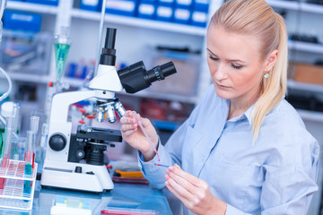 Wall Mural - Laboratory assistant uses a polarizing microscope in a microbiological laboratory