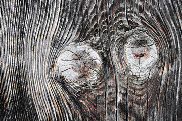 Wall Mural - old wooden plank texture