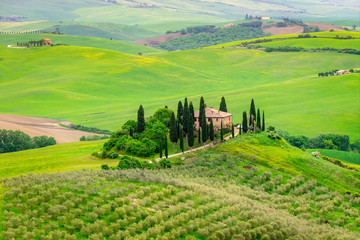 Fototapete - Tuscany spring, Landscape, Italy, Europe