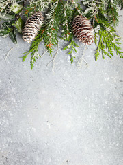 Poster - Christmas or winter background with a border of green and frosted evergreen branches and pine cones on a grey vintage board. Flat lay