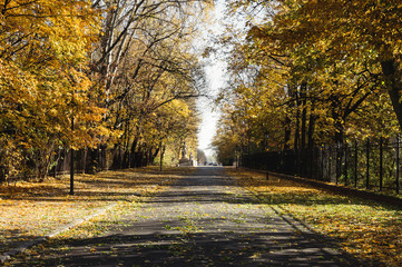 Empty road near Lazienki park, Warsaw, Poland