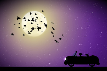 Wall Mural - Cartoon retro car and focks of birds on moonlit night. Vector illustration with silhouettes of woman and dog traveling in cabriolet. Full moon in starry sky