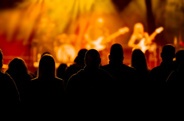 Wall Mural - Fans enjoying festival music concert.