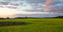 Salt Marsh On The Intracoastal Waterway In Florida