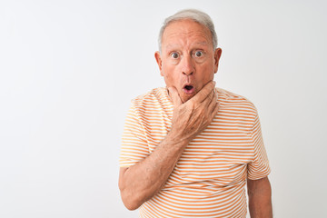 Poster - Senior grey-haired man wearing striped t-shirt standing over isolated white background Looking fascinated with disbelief, surprise and amazed expression with hands on chin