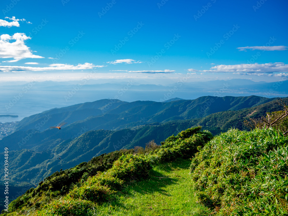 静岡県伊豆半島】夏の高原風景【伊豆山稜線歩道・だるま山周辺】 Stock 