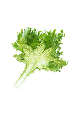 Wall Mural - Frillice Iceberg Lettuce from hydroponic farm isolated on white background