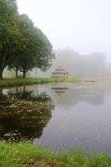 Wall Mural - early autumn foggy morning landscape.scenic view with trees, wooden gazebo on a green grass lawn and