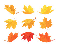Set Of Autumn Maple Leaves. Vector Autumn Background With Leaves Of Different Shapes