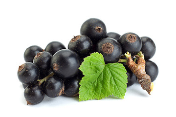 Wall Mural - Black currant berries closeup