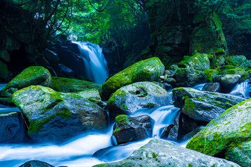 Wall Mural - fish in the waterfall, Aso, Kumamoto