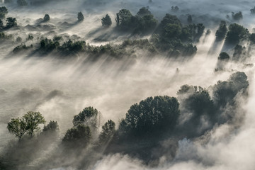 Canvas Print - The misty forest, autumn landscape (Italy)