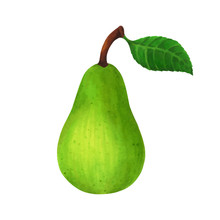 Realistic Green Pear Isolated On White Background. Vector Illustration