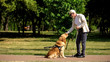 © motortion - Blind man training guide dog in park, giving obedience commands, impairment