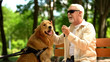 © motortion - Elderly blind man stroking guide dog, sitting on bench, caring favorite pet