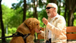 Positive blind man feeding guide dog, sitting in park, nutritious canine food