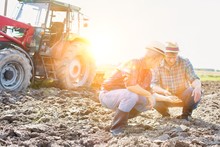 Farmers Examining Soil In Field With Yellow Lens Flare In Background