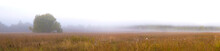 Autumn Panorama With Field And Fog.  Rural Landscape