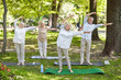 © Yakobchuk Olena - Group of joyful old people doing qigong exercise in the park