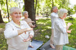 © Yakobchuk Olena - Smiling old lady visiting qigong class in the park