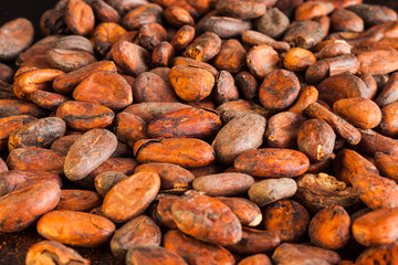 Sticker - The cocoa beans close up on the table