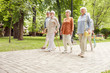© Yakobchuk Olena - Group of senior people walking on the street