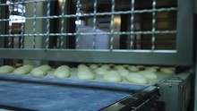 Automated Production Line Inside A Small Factory For Bakery. Fresh Bread In The Morning
